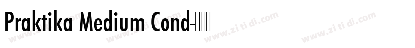Praktika Medium Cond字体转换